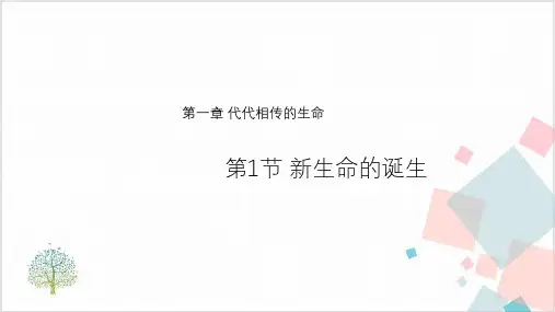 《新生命的诞生》优质课件+练习-ppt下载