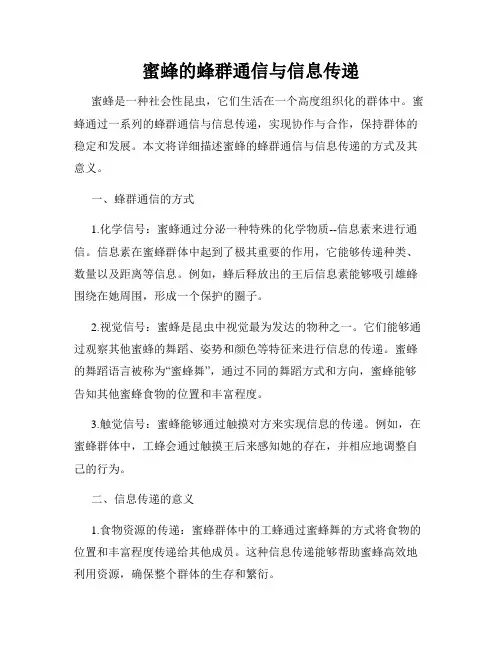 蜜蜂的蜂群通信与信息传递