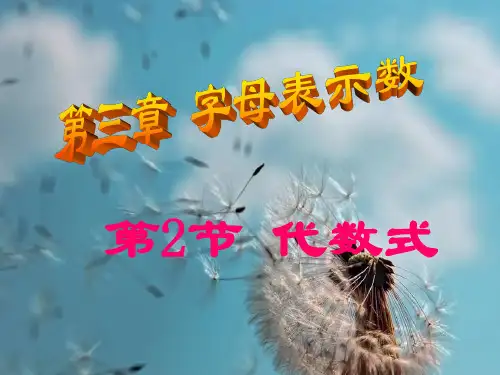 代数式PPT精品课件