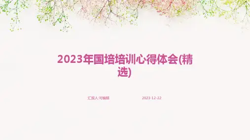 2023年国培培训心得体会(精选)ppt
