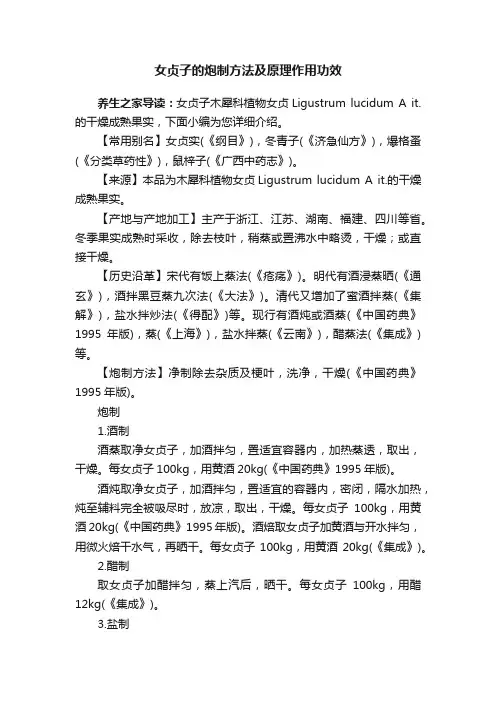 女贞子的炮制方法及原理作用功效