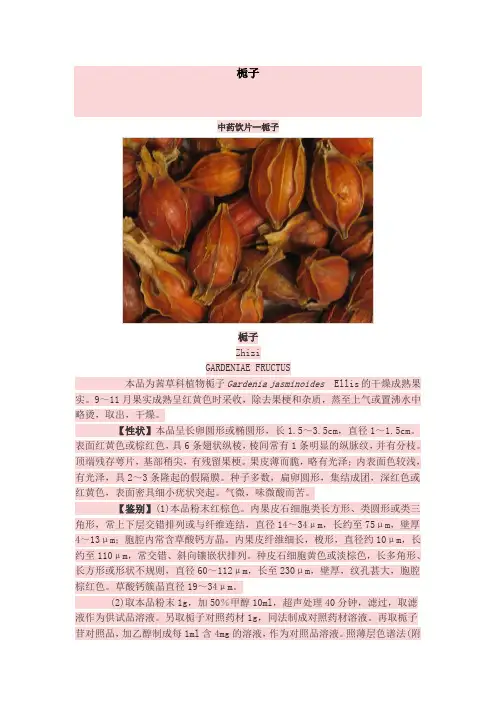 中药饮片栀子