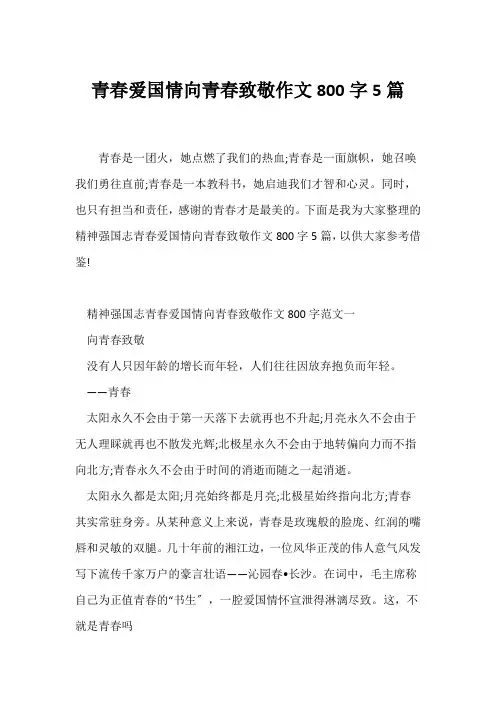 (写作指导)青春爱国情向青春致敬作文800字5篇