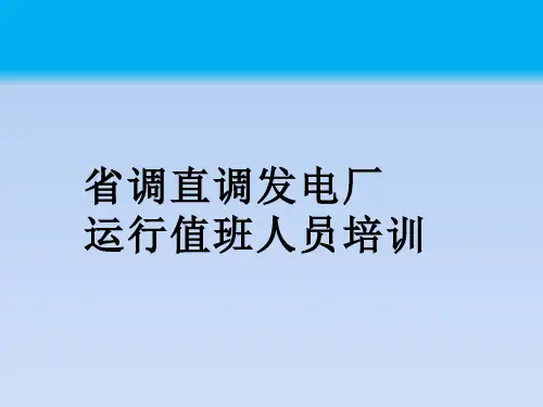 发电厂运行值班人员培训