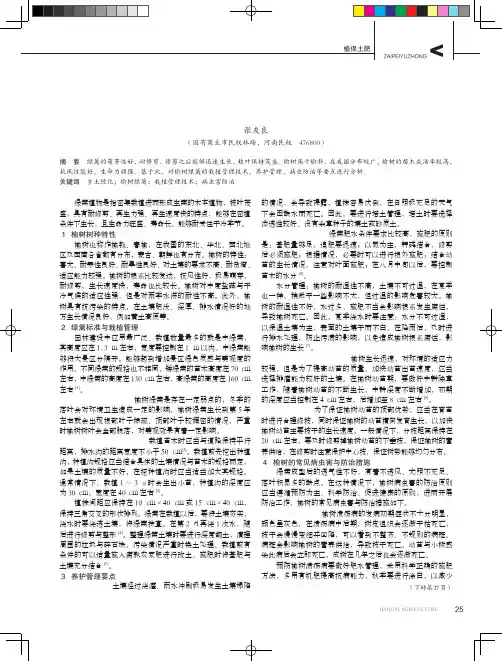 榆树绿篱栽植管理技术及病虫害防治措施