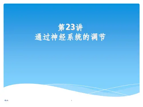 通过神经系统的调节一轮复习ppt课件