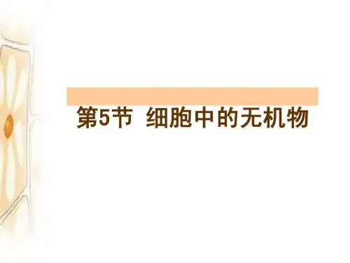 第5节 细胞中的无机物