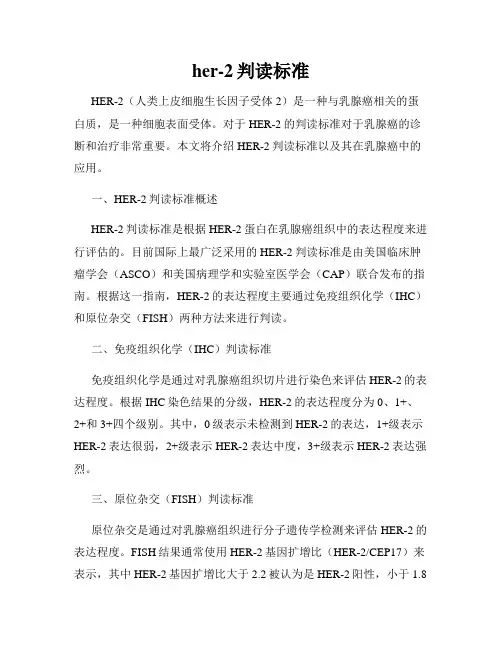 her-2判读标准