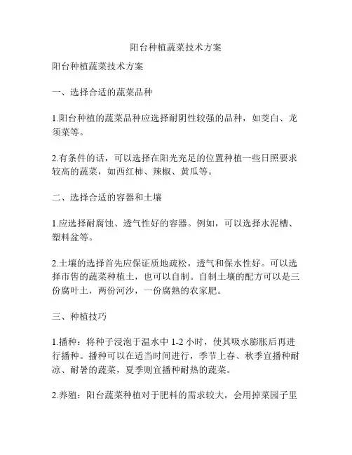 阳台种植蔬菜技术方案