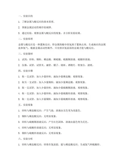 化学专题初中实验报告