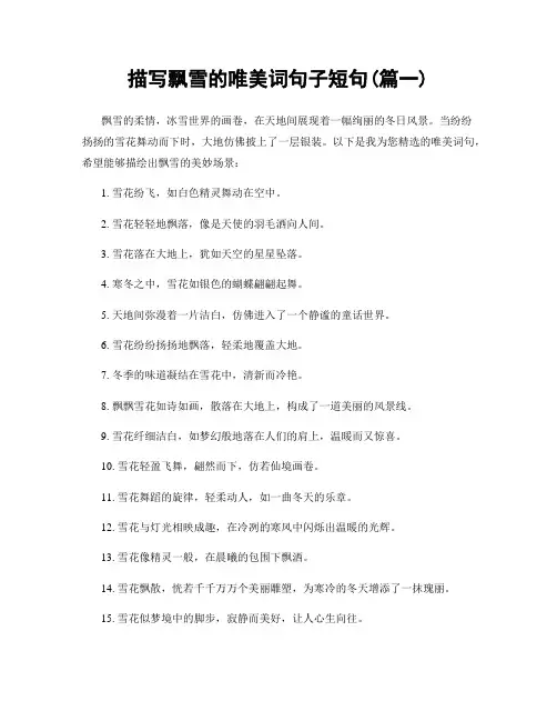 描写飘雪的唯美词句子短句(精选2篇)