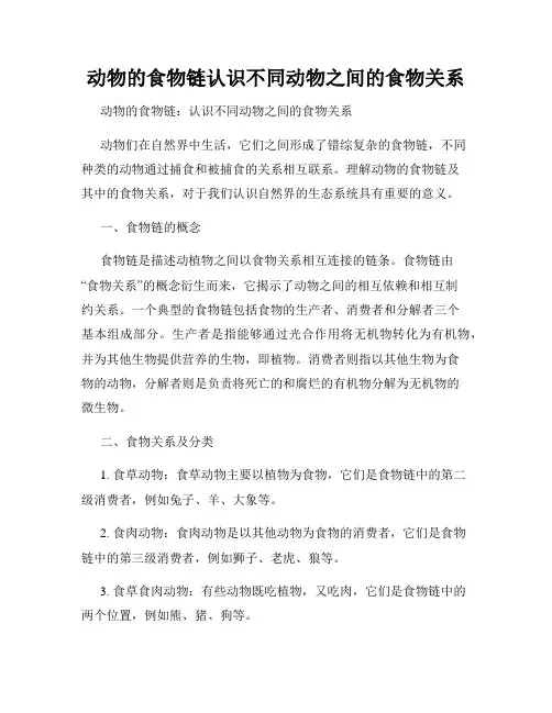 动物的食物链认识不同动物之间的食物关系