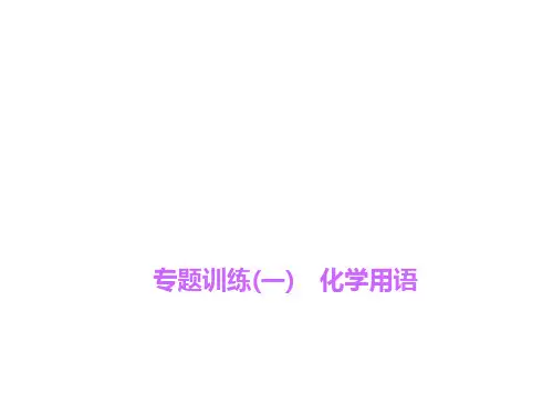 人教版九年级化学上册专题训练(一)化学用语