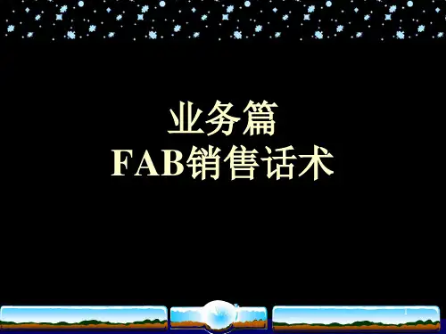 FAB销售话术35918(行业精制)