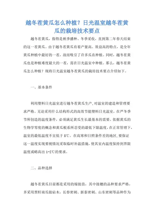 越冬茬黄瓜怎么种植？日光温室越冬茬黄瓜的栽培技术要点