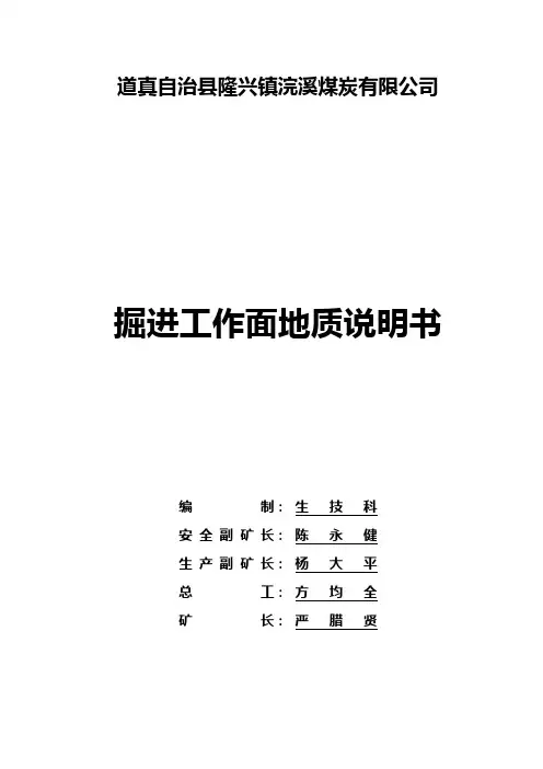 道真自治县隆兴煤矿掘进地质说明书