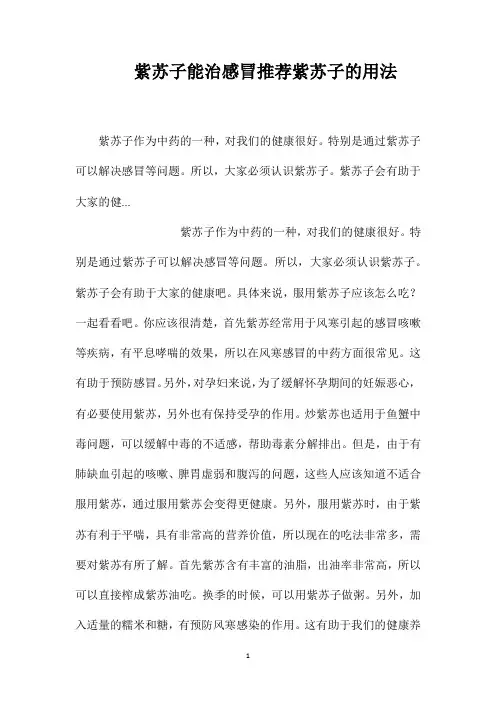 紫苏子能治感冒推荐紫苏子的用法