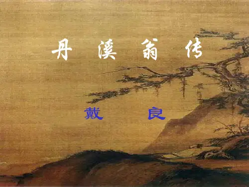 医古文名校精品课件——丹溪翁传