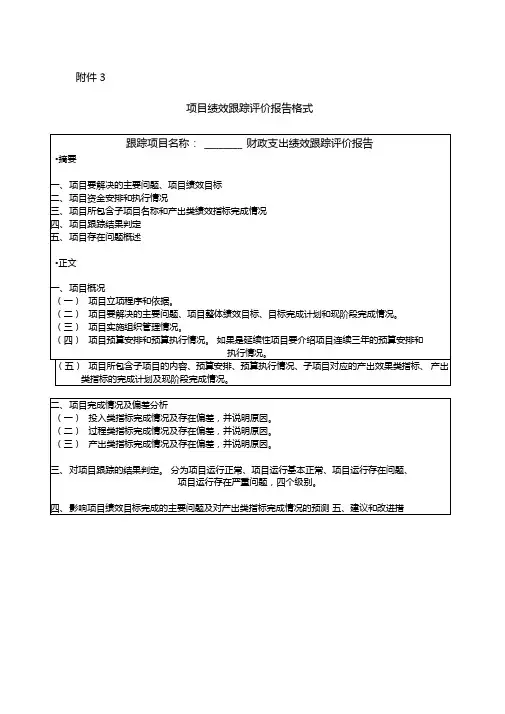 项目绩效跟踪评价报告格式