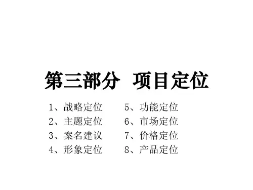 项目策划报告之项目定位