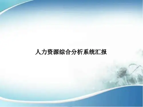 人力资源综合分析系统汇报PPT课件