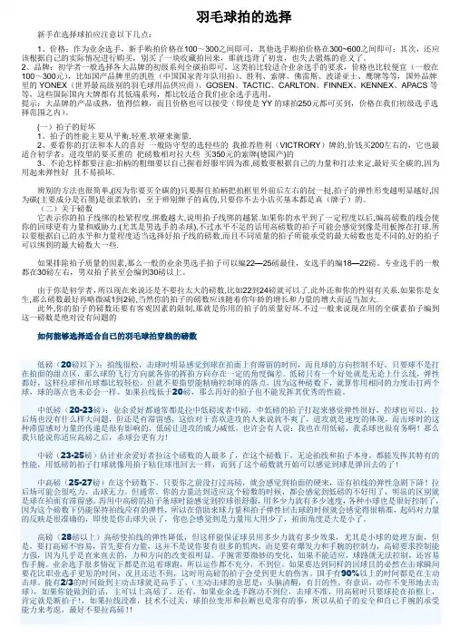 羽毛球选拍