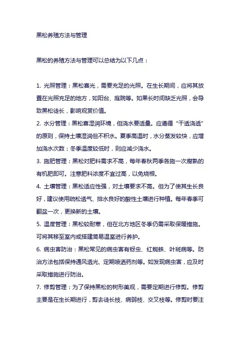 黑松养殖方法与管理