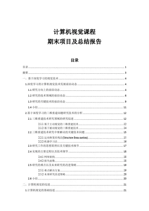 计算机视觉课程项目报告