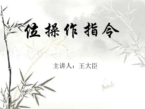 51单片机位操作指令
