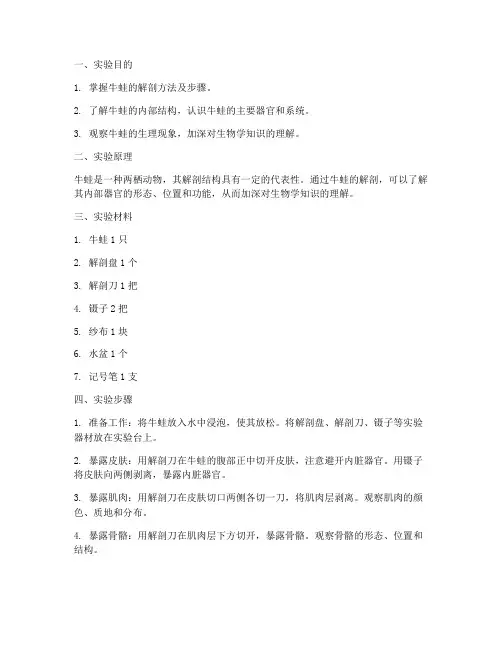 牛蛙解剖及观察实验报告