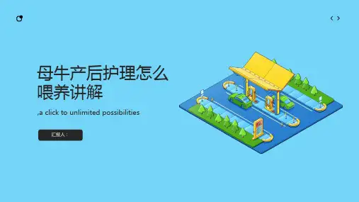母牛产后护理怎么喂养讲解