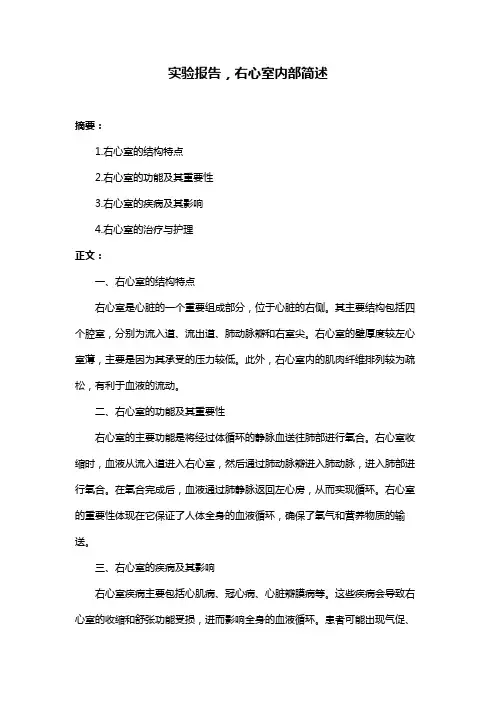 实验报告,右心室内部简述