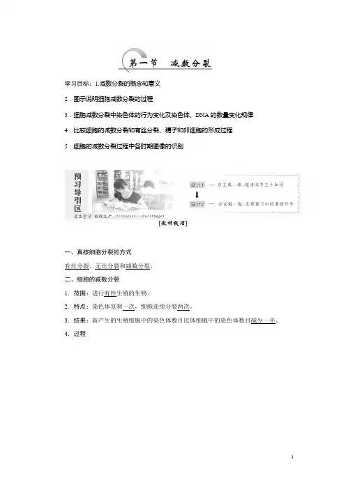 高一生物苏教版必修二教学案：第二章 第一节 减数分裂