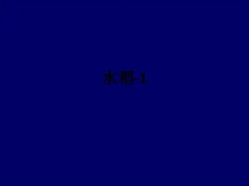 水稻-1ppt课件