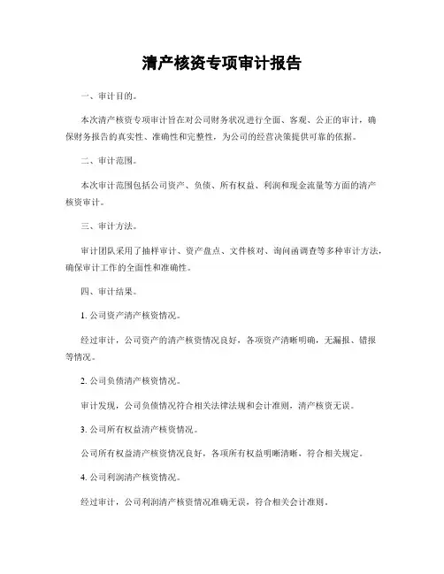 清产核资专项审计报告