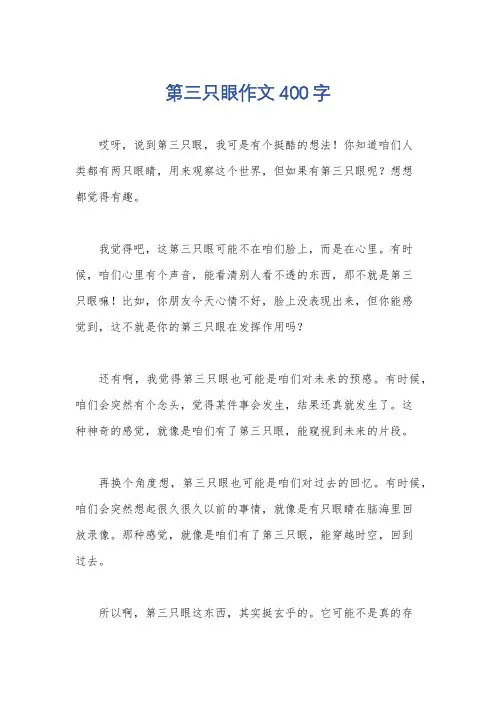 第三只眼作文400字