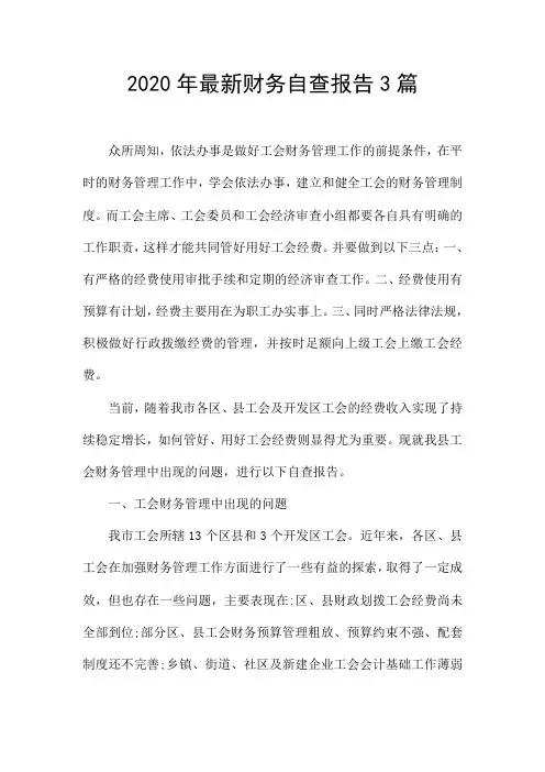2020年最新财务自查报告3篇