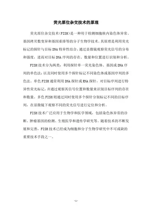 荧光原位杂交技术的原理