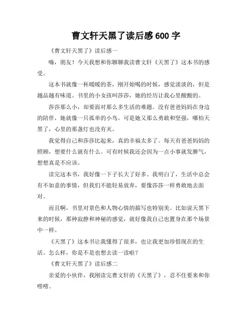 曹文轩天黑了读后感600字