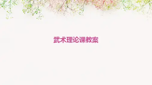 武术理论课教案