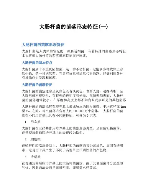 大肠杆菌的菌落形态特征(一)