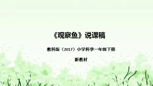 教科版(2017)小学科学一年下册《观察鱼》说课(附反思、板书)课件