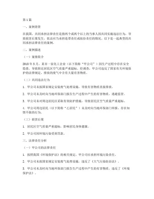 共同承担法律责任的案例(3篇)