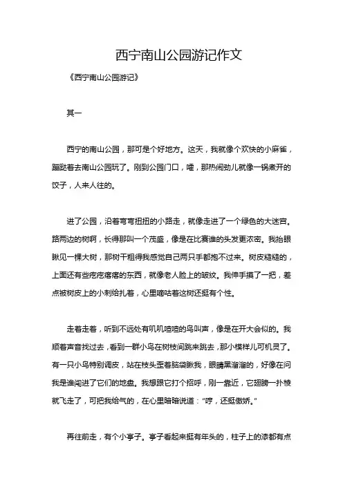 西宁南山公园游记作文
