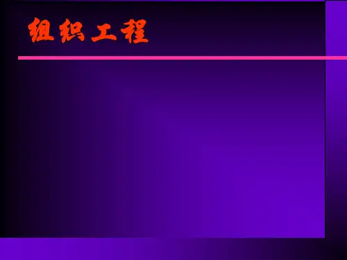 组织工程概述