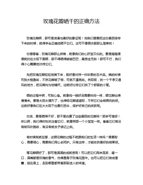 玫瑰花瓣晒干的正确方法