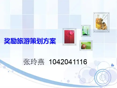 南非奖励旅游策划29页PPT文档