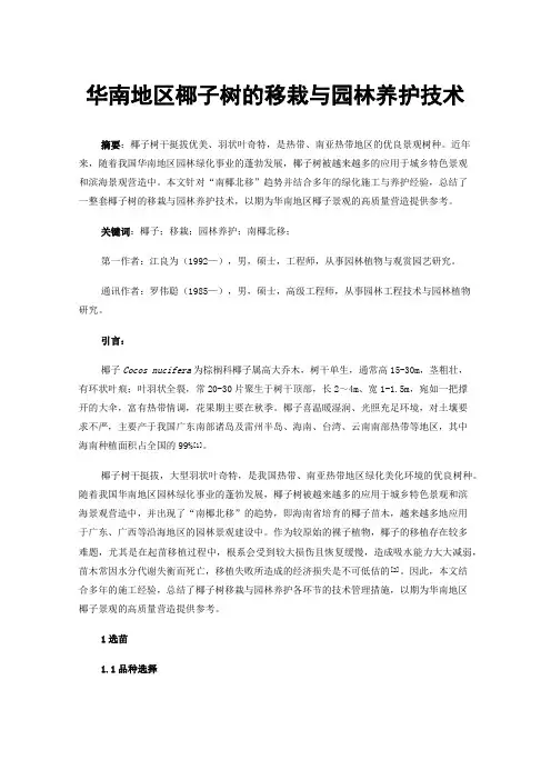 华南地区椰子树的移栽与园林养护技术