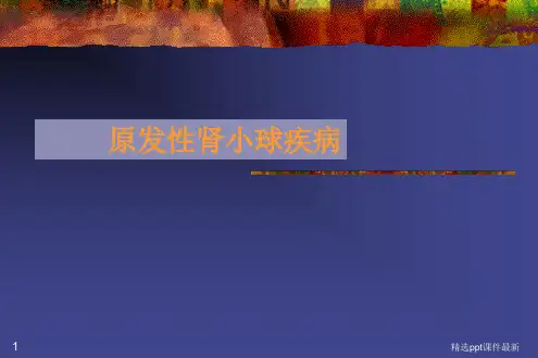 原发性肾小球疾病课件PPT课件