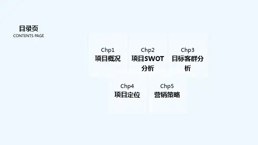 农贸市场推广方案 PPT